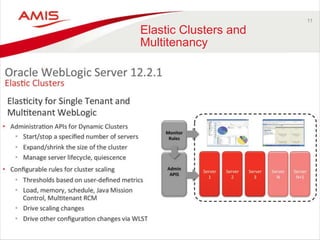 11 
Elastic Clusters and 
Multitenancy 
 