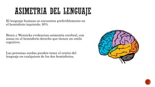 El lenguaje humano se encuentra preferiblemente en
el hemisferio izquierdo. 95%
Broca y Wernicke evidencian asimetría cerebral, con
zonas en el hemisferio derecho que tienen un estilo
cognitivo.
Las personas zurdas pueden tener el centro del
lenguaje en cualquiera de los dos hemisferios.
 