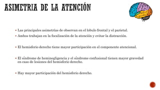  Las principales asimetrías de observan en el lobulo frontal y el parietal.
 Ambos trabajan en la focalización de la atención y evitar la distracción.
 El hemisferio derecho tiene mayor participación en el componente atencional.
 El síndrome de heminegligencia y el síndrome confusional tienen mayor gravedad
en caso de lesiones del hemisferio derecho.
 Hay mayor participación del hemisferio derecho.
 