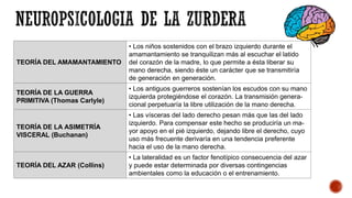 TEORÍA DEL AMAMANTAMIENTO
• Los niños sostenidos con el brazo izquierdo durante el
amamantamiento se tranquilizan más al escuchar el latido
del corazón de la madre, lo que permite a ésta liberar su
mano derecha, siendo éste un carácter que se transmitiría
de generación en generación.
TEORÍA DE LA GUERRA
PRIMITIVA (Thomas Carlyle)
• Los antiguos guerreros sostenían los escudos con su mano
izquierda protegiéndose el corazón. La transmisión genera-
cional perpetuaría la libre utilización de la mano derecha.
TEORÍA DE LA ASIMETRÍA
VISCERAL (Buchanan)
• Las vísceras del lado derecho pesan más que las del lado
izquierdo. Para compensar este hecho se produciría un ma-
yor apoyo en el pié izquierdo, dejando libre el derecho, cuyo
uso más frecuente derivaría en una tendencia preferente
hacia el uso de la mano derecha.
TEORÍA DEL AZAR (Collins)
• La lateralidad es un factor fenotípico consecuencia del azar
y puede estar determinada por diversas contingencias
ambientales como la educación o el entrenamiento.
 