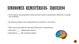  Las lesiones más pequeñas suelen generar mayor compromiso, diferente a cuando
son análogas.
 Se generan afasias que comprometen la escritura y la lectura.
 Hay mayor gravedad de apraxias ideatorias e ideomotoras.
 Ideatoria______ Manejando objetos
 Ideomotora____ Sin manejar objetos
 
