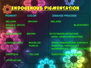 ENDOGENOUS PIGMENTATION
PIGMENT
MELANIN

COLOR
BROWN/

MACULE, NEVUS,
MACULE
HEMOSIDERIN

DISEASE PROCESS
MELANIN
BLACK/GREY

BROWN

ECCHYMOSIS,PETECHIAE,
VARIX, HEMOCHROMATOSIS

HAEMOGLOBIN

RED/BLUE/
PURPLE

VARIX, HEMANGIOMA, KAPOSI‘S
SARCOMA, HEREDITARY
HAEMORRAGIC TELANGIECTASIA

CAROTENE

YELLOW

CAROTENEMIA & JAUNDICE

LIPOFUSCHIN

 