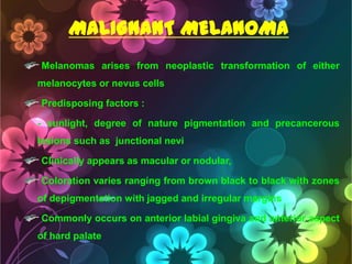 MALIGNANT MELANOMA
Melanomas arises from neoplastic transformation of either
melanocytes or nevus cells
Predisposing factors :
- sunlight, degree of nature pigmentation and precancerous
lesions such as junctional nevi

Clinically appears as macular or nodular,
Coloration varies ranging from brown black to black with zones
of depigmentation with jagged and irregular margins

Commonly occurs on anterior labial gingiva and anterior aspect
of hard palate

 