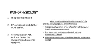 PATHOPHYSIOLOGY
Once an organophosphate binds to AChE, the
enzyme can undergo one of the following:
• Endogenous hydrolysis of the phosphorylated enzyme
by esterases or paraoxonases
• Reactivation by a strong nucleophile such as
pralidoxime (2-PAM)
• Irreversible binding and permanent enzyme inactivation
(aging)
1. The poison is inhaled
2. OP compound inhibits the
ACHE action.
3. Accumulation of Ach.
which activates the
muscarinic and nicotinic
receptors.
 