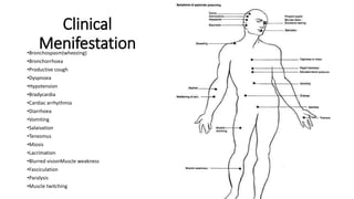 Clinical
Menifestation•Bronchospasm(wheezing)
•Bronchorrhoea
•Productive cough
•Dyspnoea
•Hypotension
•Bradycardia
•Cardiac arrhythmia
•Diarrhoea
•Vomiting
•Salaivation
•Tenesmus
•Miosis
•Lacrimation
•Blurred visionMuscle weakness
•Fasciculation
•Paralysis
•Muscle twitching
 