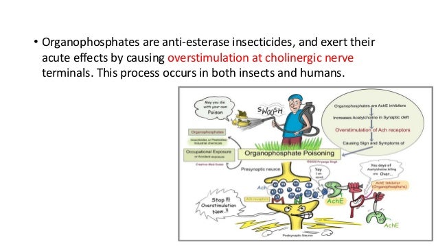 Organophosphate Poisoning
