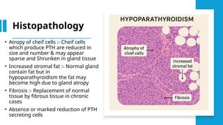 Hypoparathyroidism reference by Shafers textbook | PPTX