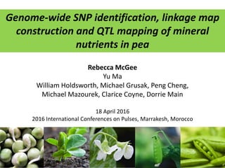 Genome-wide SNP identification, linkage map
construction and QTL mapping of mineral
nutrients in pea
Rebecca McGee
Yu Ma
William Holdsworth, Michael Grusak, Peng Cheng,
Michael Mazourek, Clarice Coyne, Dorrie Main
18 April 2016
2016 International Conferences on Pulses, Marrakesh, Morocco
 
