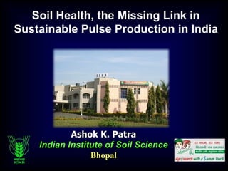 Ashok K. Patra
Indian Institute of Soil Science
Bhopal
Soil Health, the Missing Link in
Sustainable Pulse Production in India
 