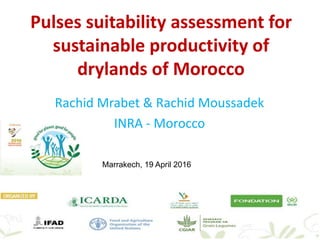 Pulses suitability assessment for
sustainable productivity of
drylands of Morocco
Rachid Mrabet & Rachid Moussadek
INRA - Morocco
Marrakech, 19 April 2016
 