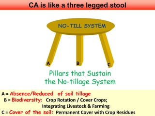 BA C
NO-TILL SYSTEM
A = Absence/Reduced of soil tillage
B = Biodiversity: Crop Rotation / Cover Crops;
Integrating Livestock & Farming
C = Cover of the soil: Permanent Cover with Crop Residues
CA is like a three legged stool
Pillars that Sustain
the No-tillage System
 