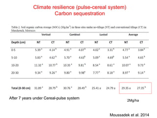 After 7 years under Cereal-pulse system
2Mg/ha
Climate resilience (pulse-cereal system)
Carbon sequestration
Moussadek et al. 2014
 