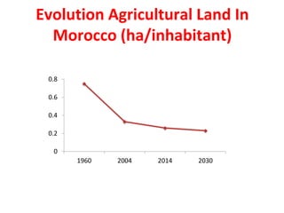 Evolution Agricultural Land In
Morocco (ha/inhabitant)
0
0.2
0.4
0.6
0.8
1960 2004 2014 2030
 