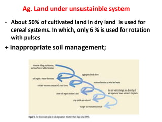 - About 50% of cultivated land in dry land is used for
cereal systems. In which, only 6 % is used for rotation
with pulses
+ inappropriate soil management;
Ag. Land under unsustainble system
 