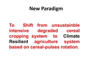 New Paradigm
To Shift from unsustainble
intensive degraded cereal
cropping system to Climate
Resilient agriculture system
based on cereal-pulses rotation.
 