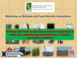Biofuels and Food production a systemic approach to
study the relations and implications in complex
agriculture markets
Workshop on Biofuels and Food Security Interactions
 