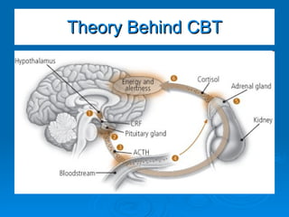 Theory Behind CBT 