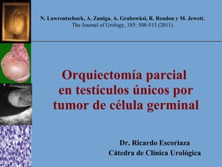 Orquiectomía parcial  en testículos únicos por tumor de célula germinal Dr. Ricardo Escoriaza Cátedra de Clínica Urológica N. Lawrentschuck, A. Zuniga, A. Grabowksi, R. Rendon y M. Jewett.  The Journal of Urology, 185: 508-513 (2011) 