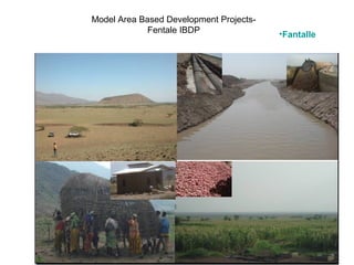 Indexed Based Livestock Insurance (IBLI): OPaDC activities and projects relevant to and complementing IBLI 