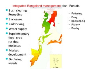 Indexed Based Livestock Insurance (IBLI): OPaDC activities and projects relevant to and complementing IBLI 