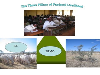 Indexed Based Livestock Insurance (IBLI): OPaDC activities and projects relevant to and complementing IBLI 