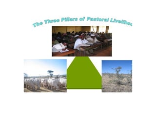 Indexed Based Livestock Insurance (IBLI): OPaDC activities and projects relevant to and complementing IBLI 