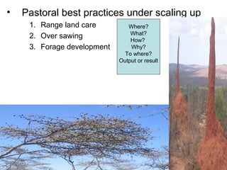 Indexed Based Livestock Insurance (IBLI): OPaDC activities and projects relevant to and complementing IBLI 