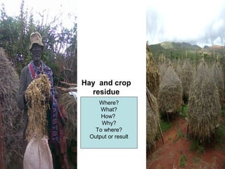 Indexed Based Livestock Insurance (IBLI): OPaDC activities and projects relevant to and complementing IBLI 