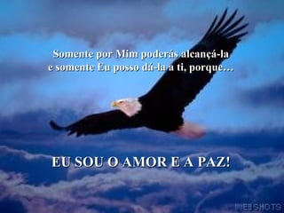 Somente por Mim poderás alcançá-la  e somente Eu posso dá-la a ti, porque… EU SOU O AMOR E A PAZ! 