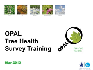 OPAL
Tree Health
Survey Training
May 2013
 