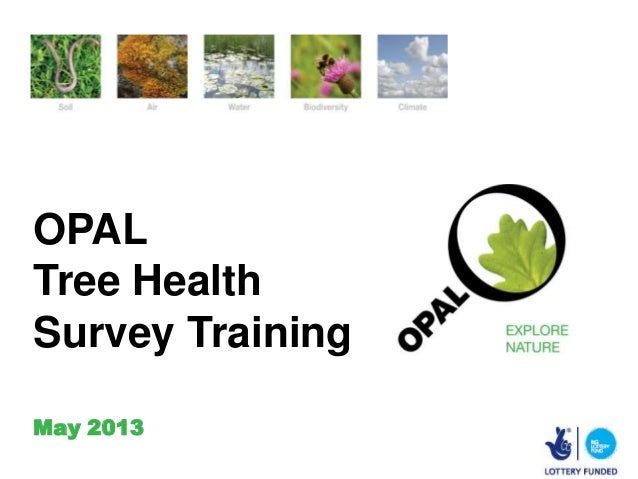 OPALTree HealthSurvey TrainingMay 2013 