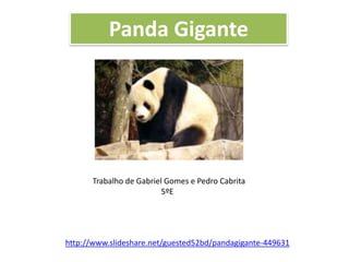 Panda Gigante

Trabalho de Gabriel Gomes e Pedro Cabrita
5ºE

http://www.slideshare.net/guested52bd/pandagigante-449631

 