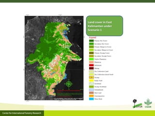 Oil palm and Green Economy in Indonesia: lessons from East Kalimantan