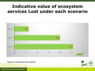 Oil palm and Green Economy in Indonesia: lessons from East Kalimantan