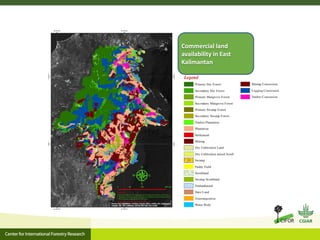 Oil palm and Green Economy in Indonesia: lessons from East Kalimantan