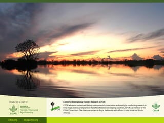 Oil palm and Green Economy in Indonesia: lessons from East Kalimantan