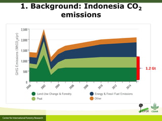 Oil palm and Green Economy in Indonesia: lessons from East Kalimantan