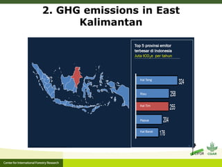Oil palm and Green Economy in Indonesia: lessons from East Kalimantan