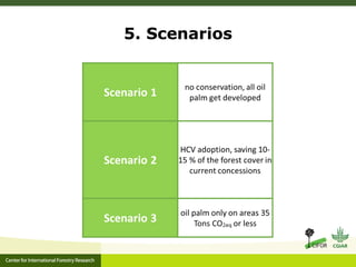Oil palm and Green Economy in Indonesia: lessons from East Kalimantan
