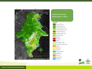 Oil palm and Green Economy in Indonesia: lessons from East Kalimantan