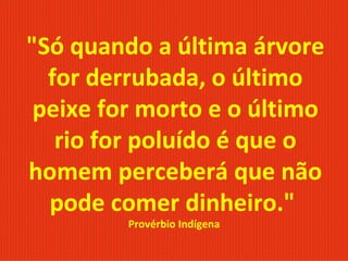 "Só quando a última árvore for derrubada, o último peixe for morto e o último rio for poluído é que o homem perceberá que não pode comer dinheiro."  Provérbio Indígena  