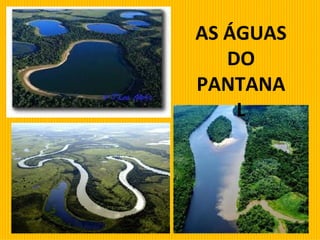 AS ÁGUAS DO PANTANAL 