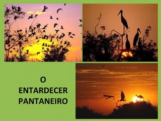 O ENTARDECER PANTANEIRO 