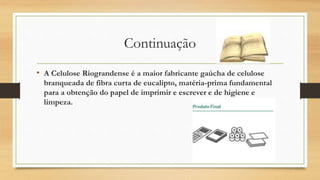 Continuação
• A Celulose Riograndense é a maior fabricante gaúcha de celulose
branqueada de fibra curta de eucalipto, matéria-prima fundamental
para a obtenção do papel de imprimir e escrever e de higiene e
limpeza.
 