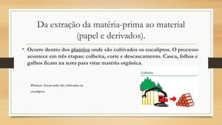 Da extração da matéria-prima ao material
(papel e derivados).
• Ocorre dentro dos plantios onde são cultivados os eucaliptos. O processo
acontece em três etapas: colheita, corte e descascamento. Casca, folhas e
galhos ficam na terra para virar matéria orgânica.
Plantios- Local onde são cultivados os
eucaliptos
 