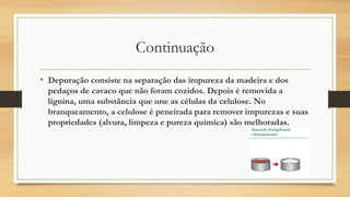 Continuação
• Depuração consiste na separação das impureza da madeira e dos
pedaços de cavaco que não foram cozidos. Depois é removida a
lignina, uma substância que une as células da celulose. No
branqueamento, a celulose é peneirada para remover impurezas e suas
propriedades (alvura, limpeza e pureza química) são melhoradas.
 