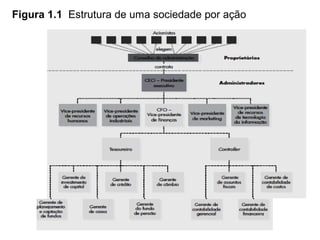 Figura 1.1 Estrutura de uma sociedade por ação
 