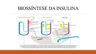 O PAPEL FISIOLÓGICO DA INSULINA E DOS HORMÔNIOS - COMPATÍVEL.ppt