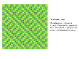 "Primrose's field" This checkered background consists of squares but appears to wave. In addition, this figure also shows a waving motion illusion. 
