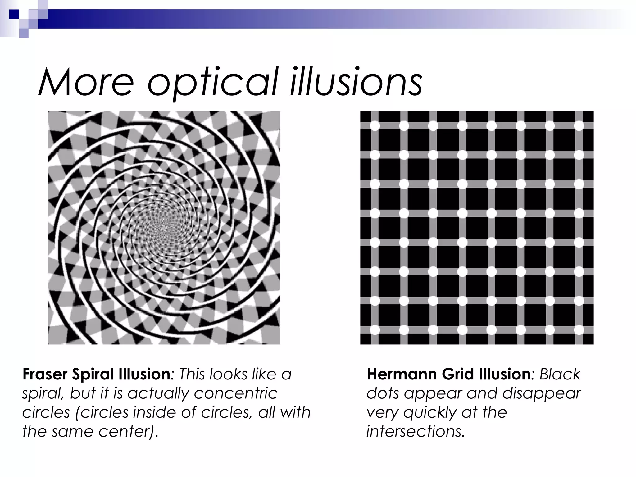 More optical illusions

Fraser Spiral Illusion: This looks like a
spiral, but it is actually concentric
circles (circles inside of circles, all with
the same center).

Hermann Grid Illusion: Black
dots appear and disappear
very quickly at the
intersections.

 